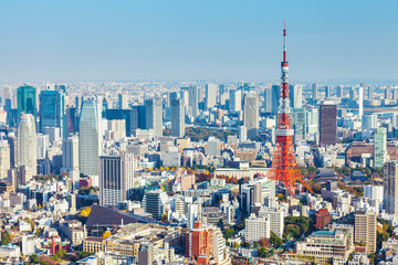 Canvas Print - Tokyo in Japan