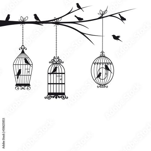 Naklejka dekoracyjna Czarno-białe rysunkowe klatki ptaków