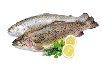 Rainbow trout with fresh herbs isolated on white background