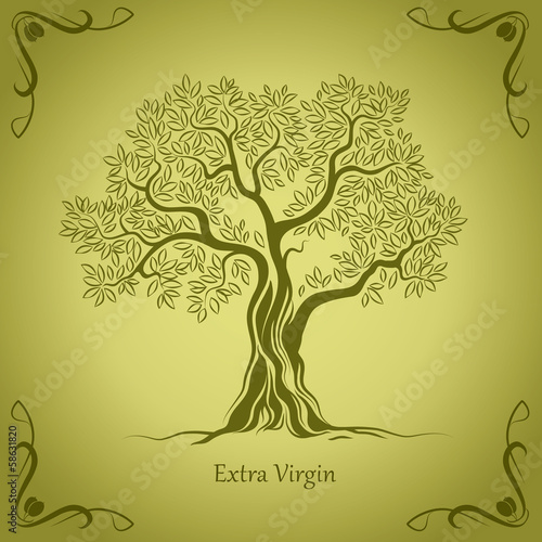 Fototapeta na wymiar Olive tree . Olive oil. For labels, pack.