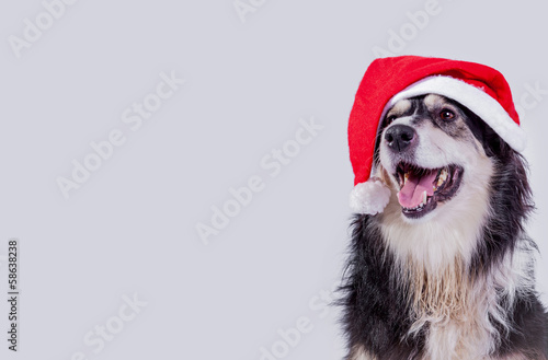 Nikolaus Hund StockFoto Adobe Stock