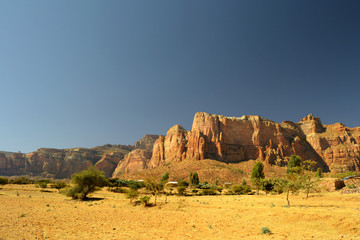 golden ethiopian landscape