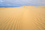 Fototapeta  - The scenic sand dunes in Te Paki region