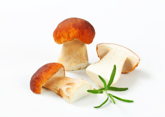 Poster - Fresh edible mushrooms