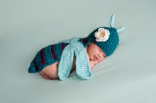Newborn Baby Girl Wearing A Dragonfly Costume