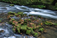 Autumn River With Stones