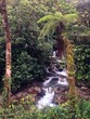 Rainforest riwer en Ecuador