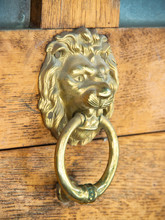 Lion Head Door Knocker (3)