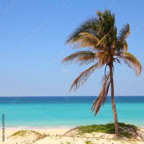Board z aluminiowym obramowaniem Kuba - playa megano