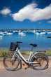 Formentera bicycle at Estany des Peix lake
