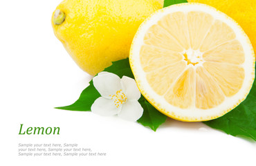 Poster - Lemon & text