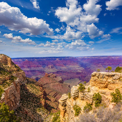 Fototapete - Arizona Grand Canyon Park Mother Point and Amphitheater