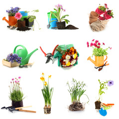 Wall Mural - Collage of gardening equipment isolated on white