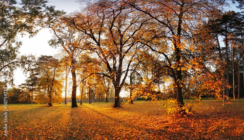 Plakat na papierze fotorealistycznym Jesienna panorama w parku