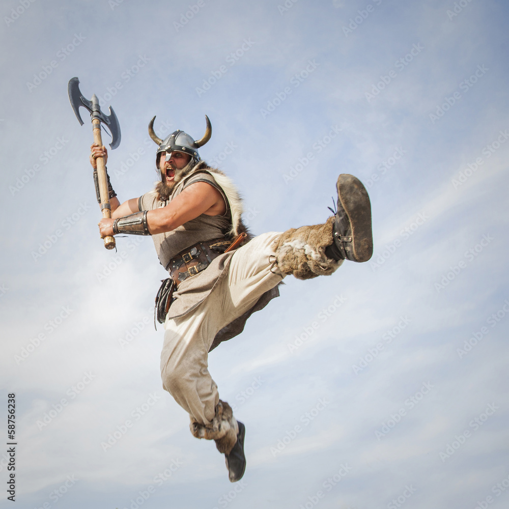 Vikings attack from sky - obrazy, fototapety, plakaty 