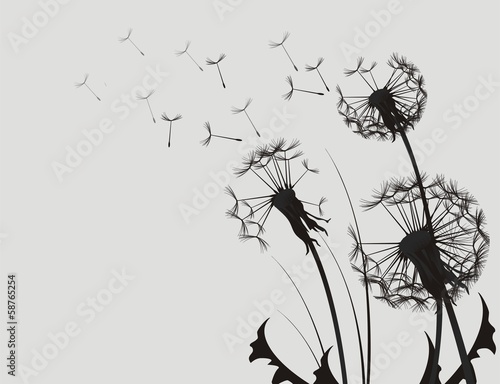 Naklejka - mata magnetyczna na lodówkę Dandelion Silhouette