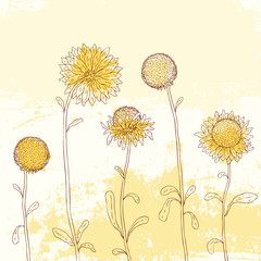 Poster - Yellow sunflower on Watercolor background.