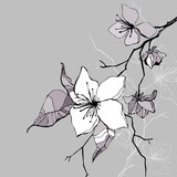 Beautiful flower. Hand drawn vector illustration