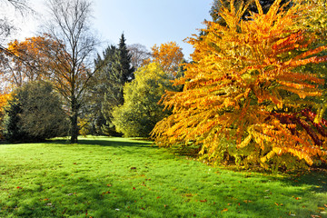 Wall Mural - autumn landscape.