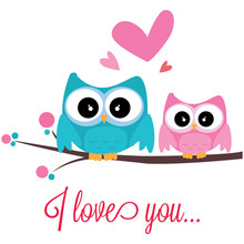 Owls In Love