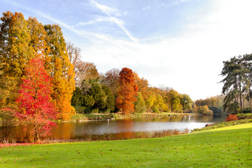 Wall Mural - Park in Autumn. The bright colors of autumn in the park by the l