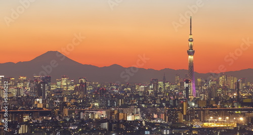 Board z aluminiowym obramowaniem Tokyo city view i tokyo skytree z mt fuji