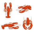 Lobster set. Vector