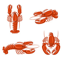 Lobster Set. Vector