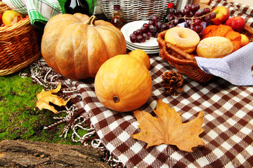 Outdoors picnic close up