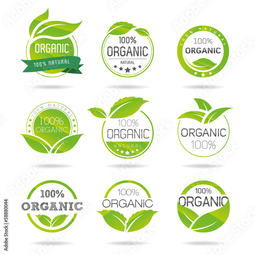 Cuadros en Lienzo Ecology, organic icon set. Eco-icons