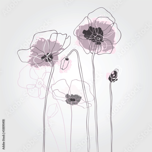 Fototapeta do kuchni Red poppies on a white background