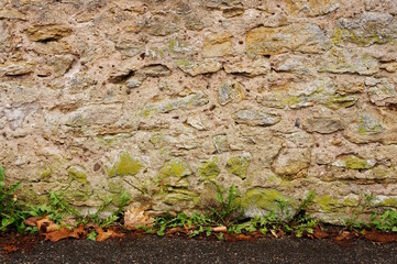 Wall Mural - Hintergrund Natursteinwand