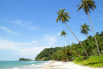 Wall Mural - Beach