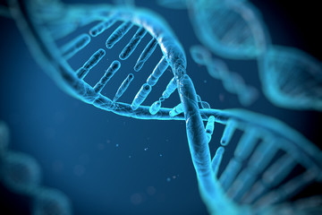 dna molecules