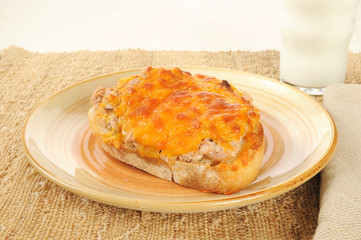 Poster - Tuna melt with milk