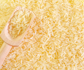 Canvas Print - raw rice