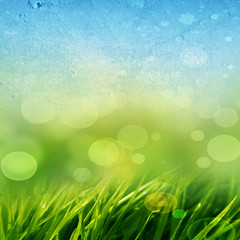 Sticker - green grass background