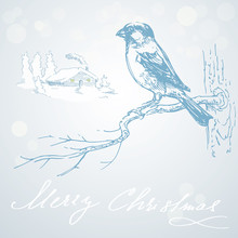 Romantic Christmas Card With Bird
