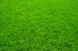 Leinwandbild Motiv Green grass