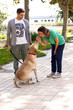 © Ferrante Pietro - Giovane coppia che addestra il loro cane Labrador