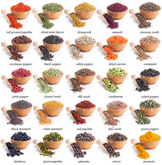 Wall Mural - collection of different spices and herbs