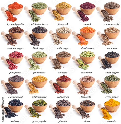 collection of different spices and herbs Poster