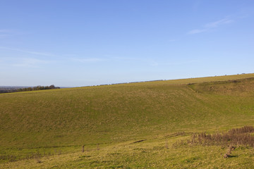 Poster - yorkshire wolds pastures