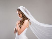 Beautiful Bride With Veil