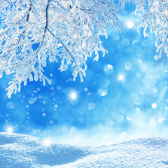 Wall Mural - winter background