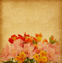 Wall Mural - Old paper background with alstroemeria..