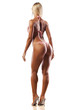 © vladimirfloyd - rear view of pretty muscular woman