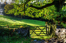 Country Scene With Farm Gate