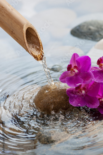 Fototapeta do kuchni running water on stones next to flowers