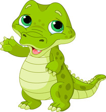 Baby  Alligator